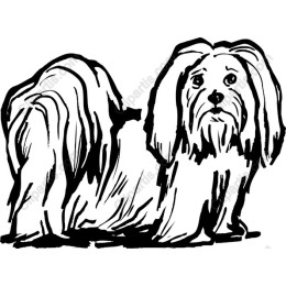 Fluffy Dog