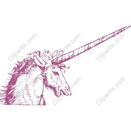 Enchanting Unicorn