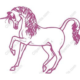 Magical Unicorn