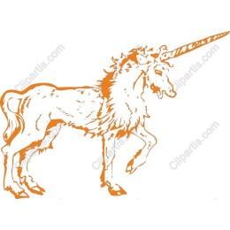 Enchanting Unicorn