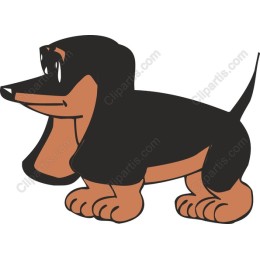 Playful Dachshund