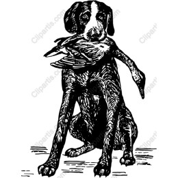 Loyal Hunting Dog