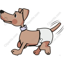 Adorable Diaper-Wearing Dog