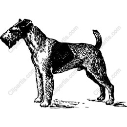 Vintage Dog