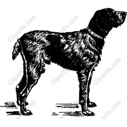 Rustic Dog