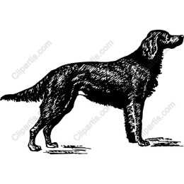 Vintage Standing Dog