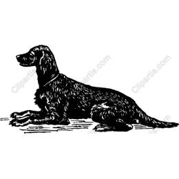 Hand-Drawn Dog