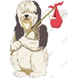 Adventurous Shaggy Dog