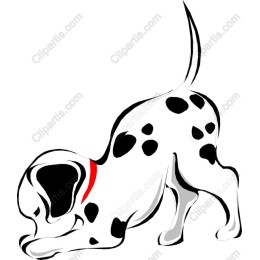 Adorable Dalmatian