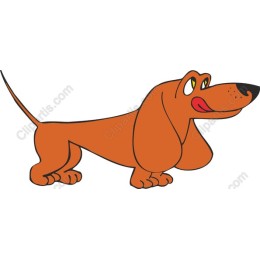 Adorable Dachshund