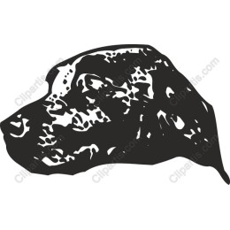 Dog Head
