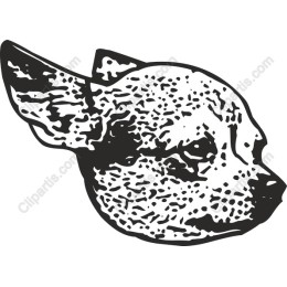 Charming Dog Head