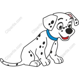 Dalmatian Puppy