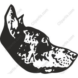Elegant Dog Portrait
