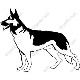 German Shepherd Black-and-White
