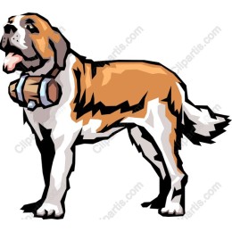 Charming Saint Bernard