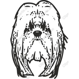 Majestic Shaggy Dog