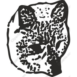 Elegant Leopard