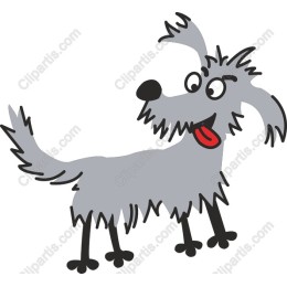 Playful Grey Dog