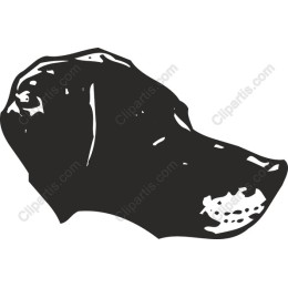 Unique Dog Head