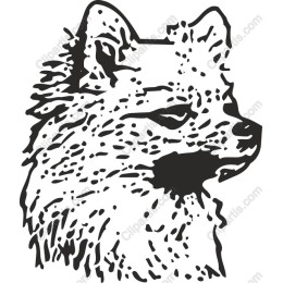 Majestic Fox