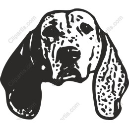 Adorable Dog Head