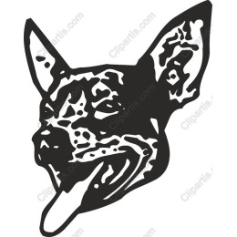 Playful Dog Head