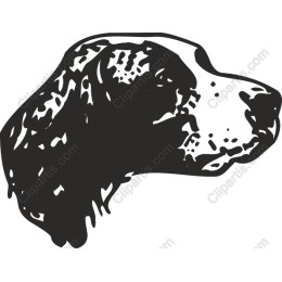 Charming Dog Head