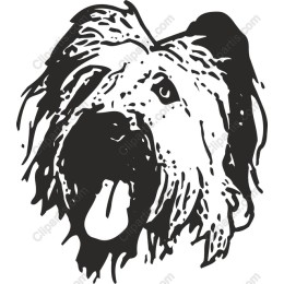 Adorable Dog