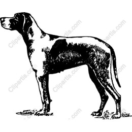 Noble Canine