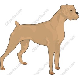 Loyal Companion Dog