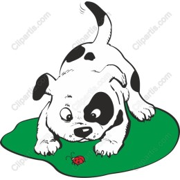 Cute Puppy Playing with Ladybug