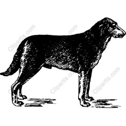 Vintage Dog