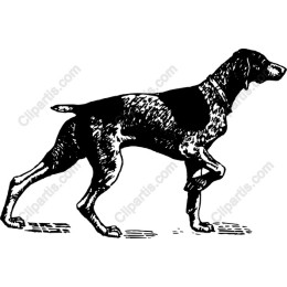 Dynamic Dog