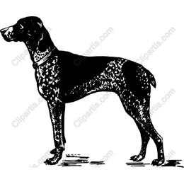 Majestic Dog