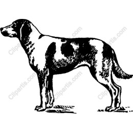 Vintage Canine Companion