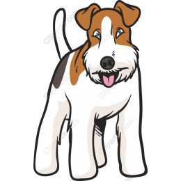 Adorable Fox Terrier