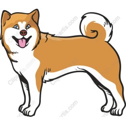 Charming Dog