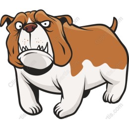 Charming Bulldog