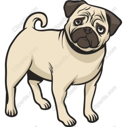 Charming Pug