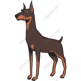 Sleek Doberman
