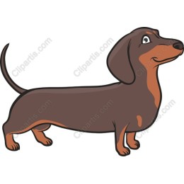 Dachshund Delight