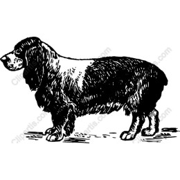 Vintage Dog