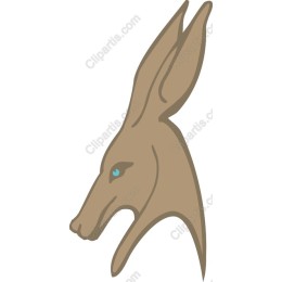 Elegant Hare Profile