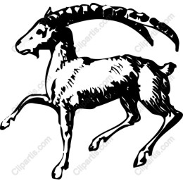 Spirited Goat