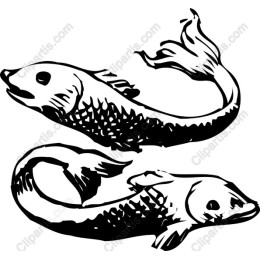 Stylized Fish