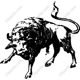 Dynamic Bull