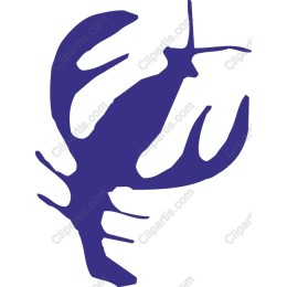Stylish Lobster