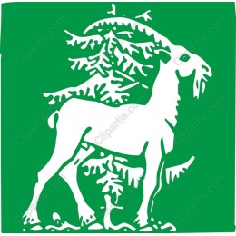Mountain Goat and Pine Trees
