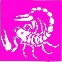 Scorpion - for Creative Projects